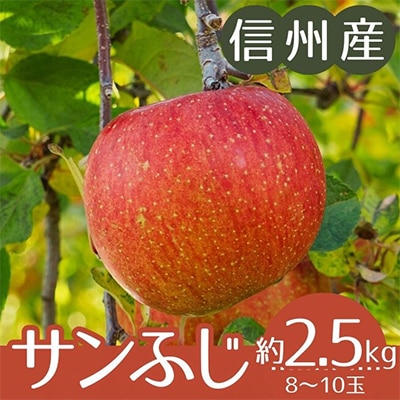 【信州産】サンふじりんご　約2.5kg(8～10玉)　2025年11月下旬から順次発送