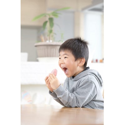 【信州産】市田柿　個包装15粒いり化粧箱　(約28g×15粒入り)　2026年1月中旬から順次発送
