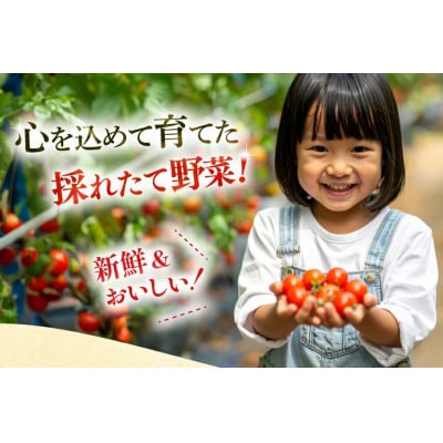 安心の地元野菜と果物のお任せセット