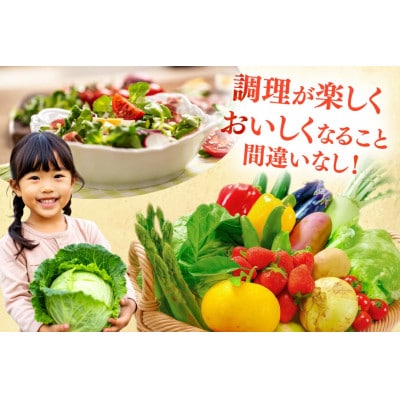 安心の地元野菜と果物のお任せセット