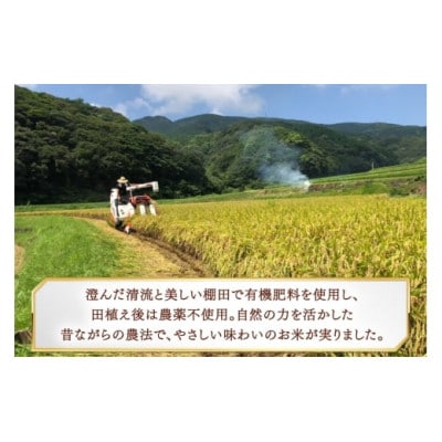 平戸の健康玄米・黒米セット【エコファーム永田】