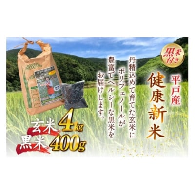 平戸の健康玄米・黒米セット【エコファーム永田】