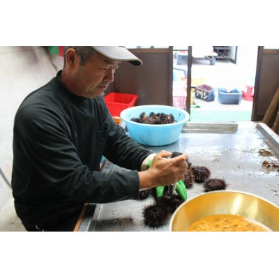 【平戸産極上黒ウニ使用】 漁師の嫁が作った塩ウニ (60g×2瓶・合計120g)【めぐみ屋】