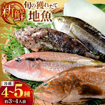 旬の獲れたて鮮魚(冷蔵)《4～5種》