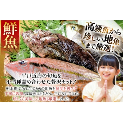 旬の獲れたて鮮魚(冷蔵)《4～5種》