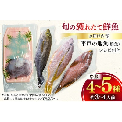 旬の獲れたて鮮魚(冷蔵)《4～5種》