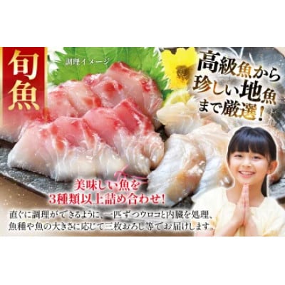 旬の獲れたて鮮魚(冷凍)《4～5種》