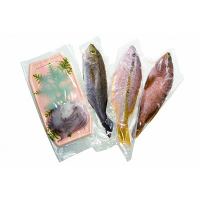 旬の獲れたて鮮魚(冷凍)《4～5種》