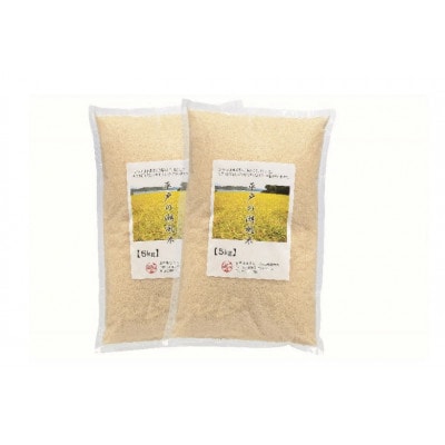 平戸の潮風で育った米(10kg)