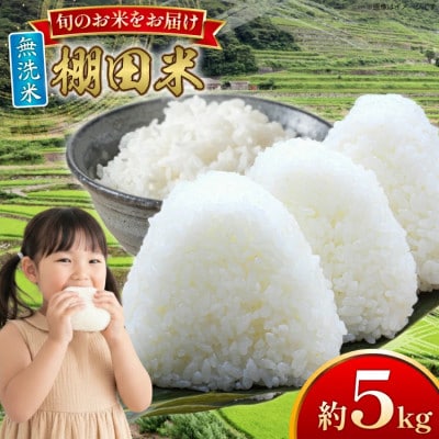 平戸の棚田米(無洗米)約5kg