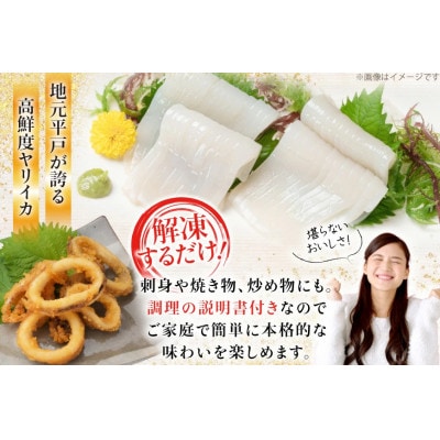 極鮮ヤリイカ 約1kg 　海隆丸