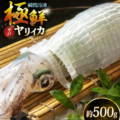 極鮮ヤリイカ 約500g  海隆丸
