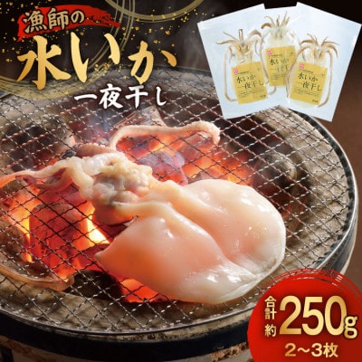 漁師の水烏賊一夜干し 2～3枚 約250g 　中野漁業協同組合