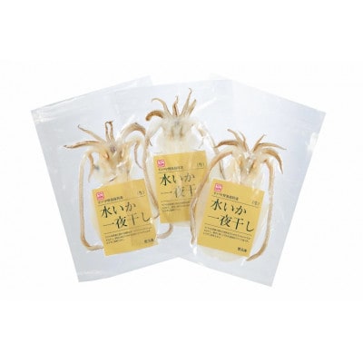 漁師の水烏賊一夜干し 2～3枚 約250g 　中野漁業協同組合