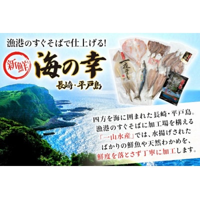 干物　豪華6種詰合せ & 天然塩わかめセット 計11枚 食べ比べ　一山水産