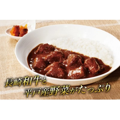 平戸 ビーフカレー 12食 セット 辛口 [カレー工房NVfoods]