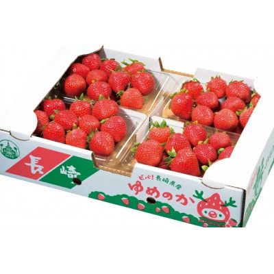 平戸産いちご『ゆめのか』250g×4P(Lサイズ～)