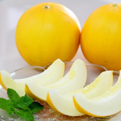 平戸産メロン『イエローキング』約5kg(3～6玉)