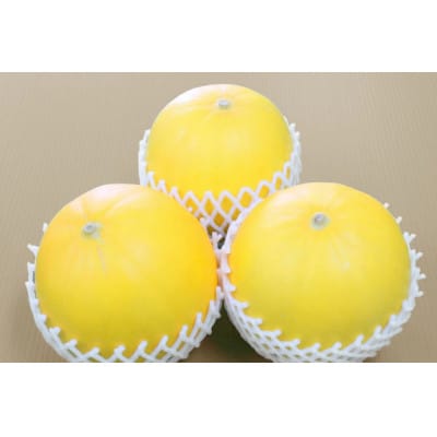 平戸産メロン『イエローキング』約5kg(3～6玉)