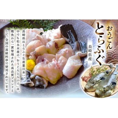 活〆 おうごんとらふぐ 鍋セット 約400g [松永水産]