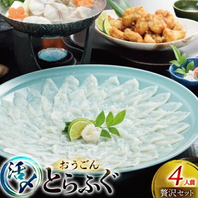 活〆 おうごんとらふぐ 贅沢 セット 4人前 [松永水産]