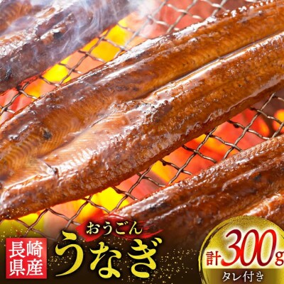 長崎県産 おうごんうなぎ 約300g 1尾～3尾 [松永水産]