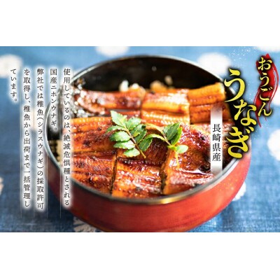長崎県産 おうごんうなぎ 約300g 1尾～3尾 [松永水産]