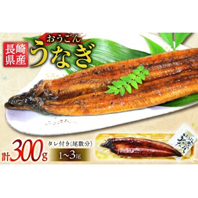 長崎県産 おうごんうなぎ 約300g 1尾～3尾 [松永水産]