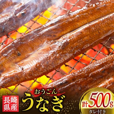 長崎県産 おうごんうなぎ 約500g 1尾～4尾 [松永水産]