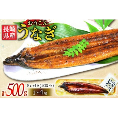 長崎県産 おうごんうなぎ 約500g 1尾～4尾 [松永水産]