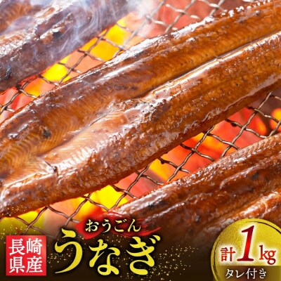 長崎県産 おうごんうなぎ 約1kg 4尾～8尾[松永水産]