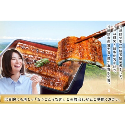長崎県産 おうごんうなぎ 約1kg 4尾～8尾[松永水産]