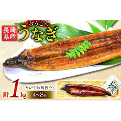 長崎県産 おうごんうなぎ 約1kg 4尾～8尾[松永水産]