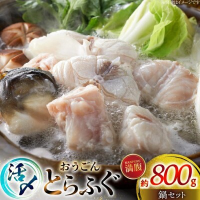 活〆 おうごんとらふぐ 満腹 鍋セット 約800g [松永水産]