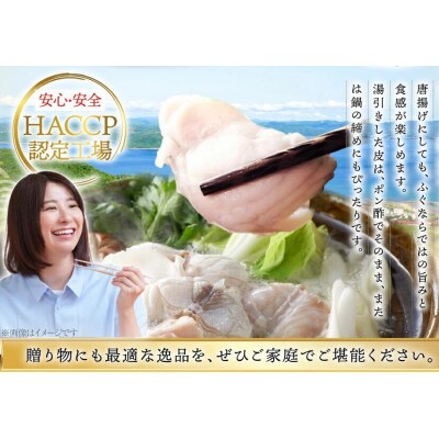 活〆 おうごんとらふぐ 満腹 鍋セット 約800g [松永水産]