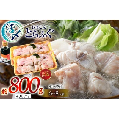 活〆 おうごんとらふぐ 満腹 鍋セット 約800g [松永水産]