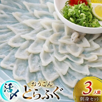 活〆 おうごんとらふぐ 刺身セット 3人前 [松永水産]