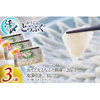 活〆 おうごんとらふぐ 刺身セット 3人前 [松永水産]