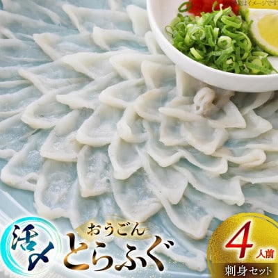 活〆 おうごんとらふぐ 刺身セット 4人前 [松永水産]