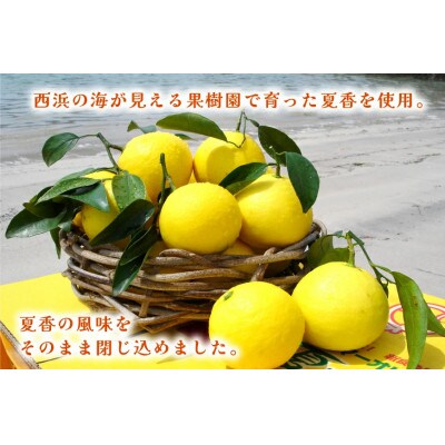 平戸夏香のアイスキャンデー 10本 100ml/本[ハレルヤ合同会社]