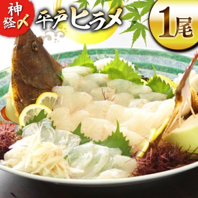 神経〆平戸ひらめ 1尾 1～1.5kg 内臓処理済[イワミ水産]