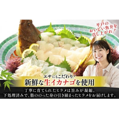 神経〆平戸ひらめ 1尾 1～1.5kg 内臓処理済[イワミ水産]