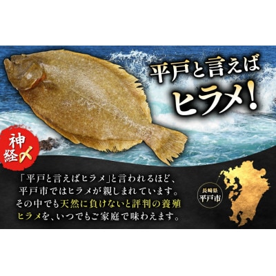 刺身 神経〆平戸ひらめ 80g 2パック 合計 160g[イワミ水産]