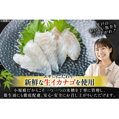 刺身 神経〆平戸ひらめ 80g 2パック 合計 160g[イワミ水産]