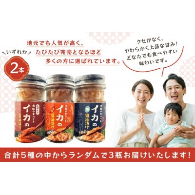 ご飯のお供 あぶらみそ イカの醤油漬け 3本 ランダムでお届け [康貴丸水産]