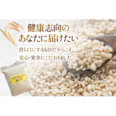 平戸の健康新米 もち麦 1kg【エコファーム永田】