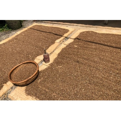 平戸の健康新米 もち麦 1kg【エコファーム永田】