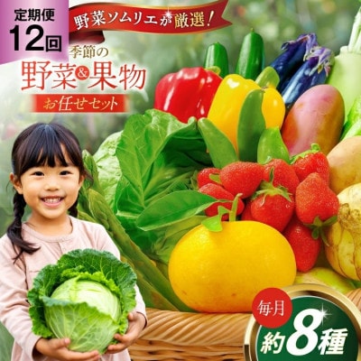 【毎月定期便】長崎県平戸市産!安心の地元野菜と果物のお任せセット全12回