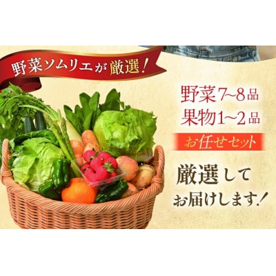 【毎月定期便】長崎県平戸市産!安心の地元野菜と果物のお任せセット全12回