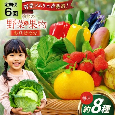 【毎月定期便】長崎県平戸市産!安心の地元野菜と果物のお任せセット全6回